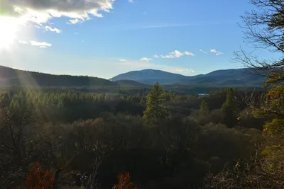 DSC_5967 (Large).JPG